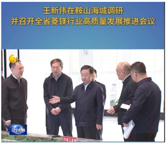 省委副书记、省长王新伟在海城专调研并召开全省菱镁行业高质量发展推进会议