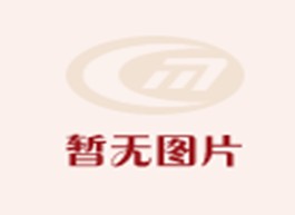 镁锭